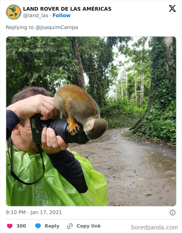 Fotógrafo de naturaleza con cámara mientras un mono pequeño curioso se sube al lente en selva tropical.