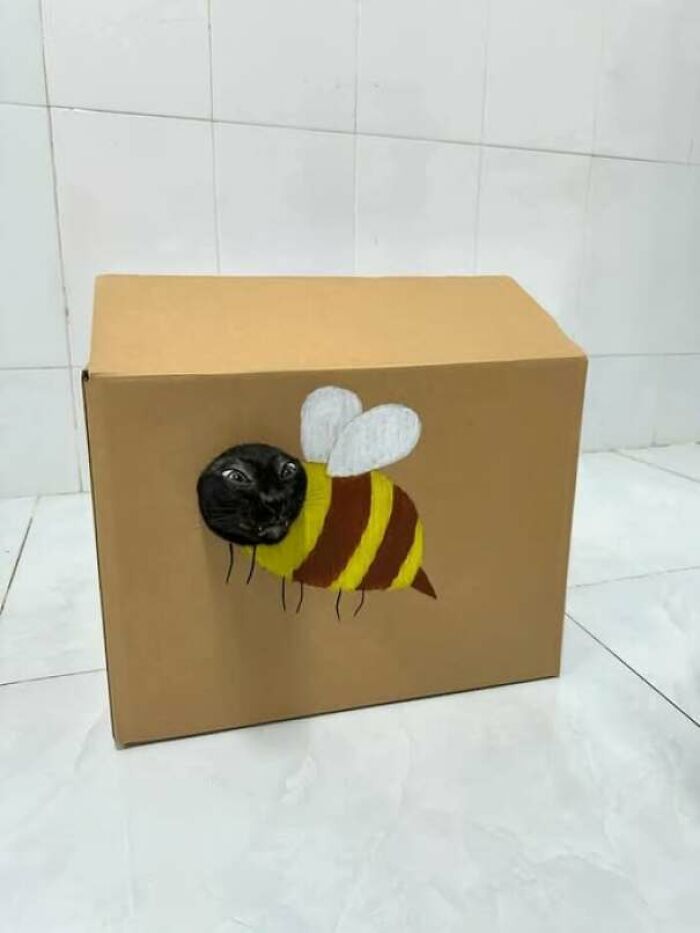 Gato negro asomando su cabeza dentro de caja decorada con dibujo de abeja, foto divertida de gatos creativa.