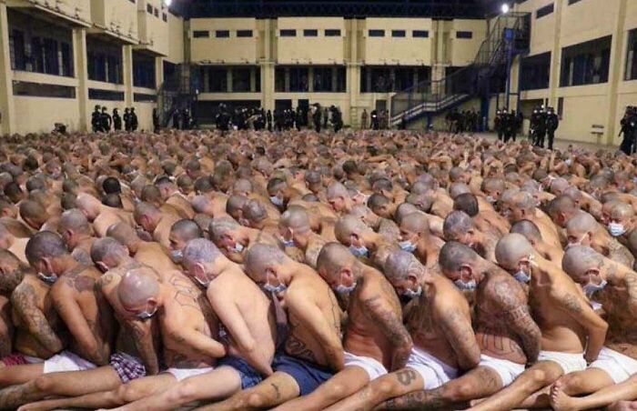 Hombres tatuados y con cabezas rapadas sentados alineados en un espacio cerrado, imagen aterradora e inquietante.