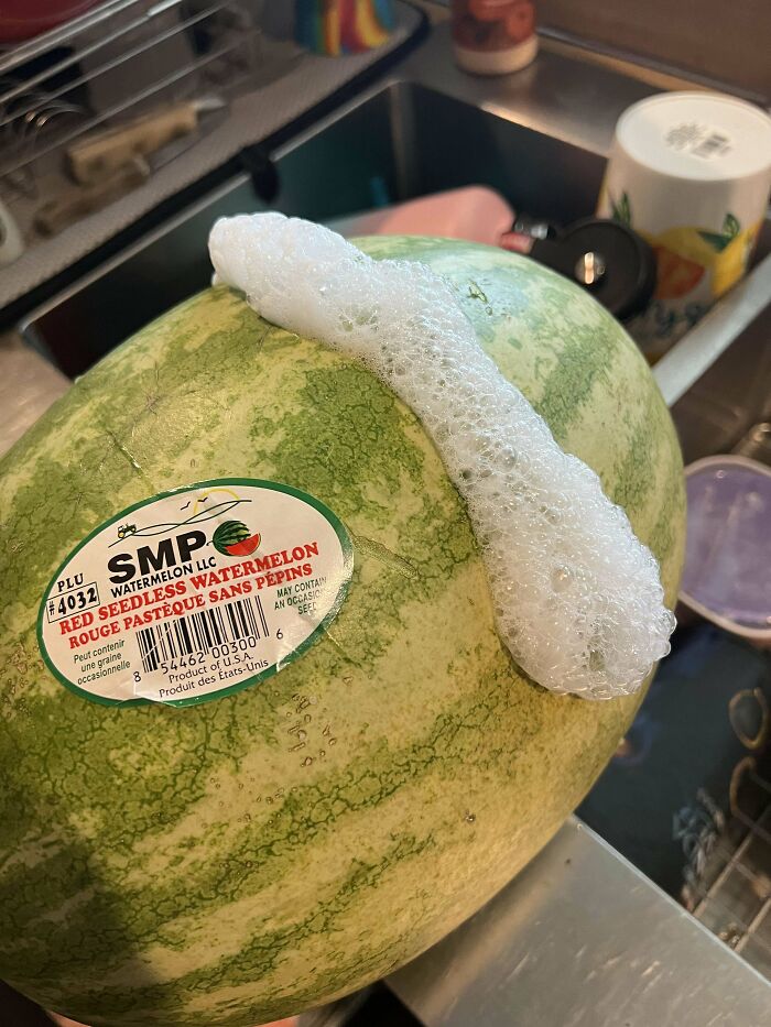 Sandía con espuma de jabón encima en una cocina, imagen confusa y divertida que quizá necesita contexto.