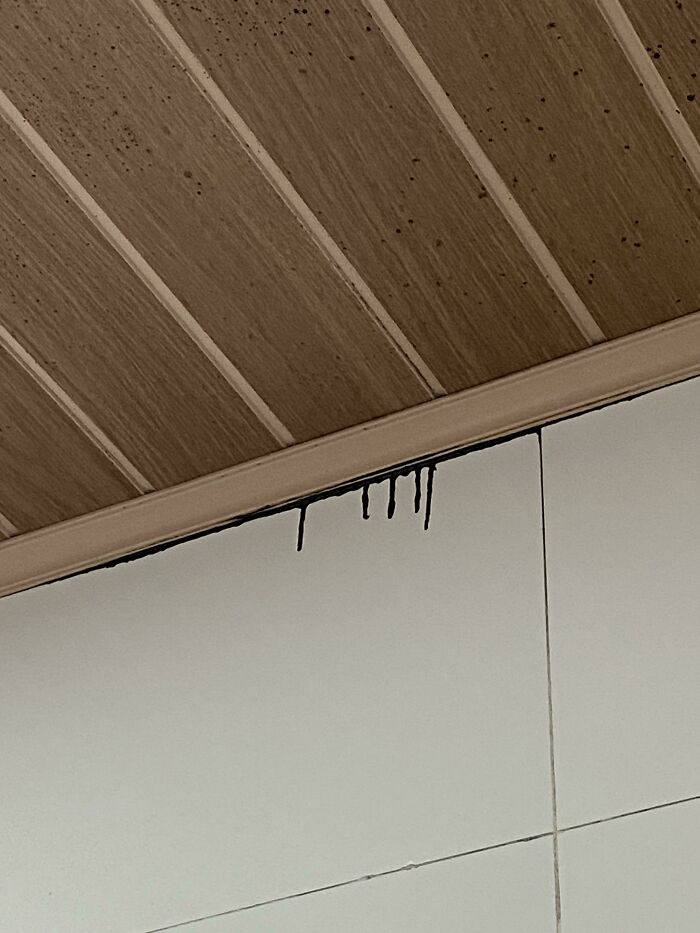 Manchas en el techo de madera con goteo negro, imagen confusa que quizá necesita cierto contexto para entenderse.