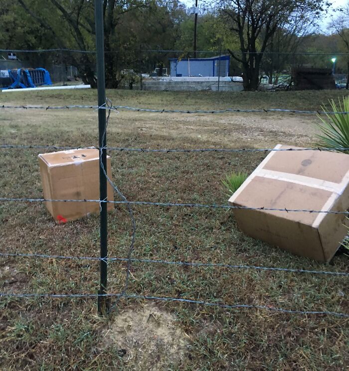 Cajas atrapadas en una cerca de alambre de púas en un campo con césped y árboles al fondo, situaciones complicadas de padres y madres.