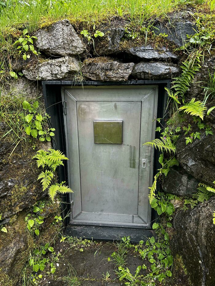 Puerta metálica extraña rodeada de vegetación y piedras, imagen de personas que no tenían ni idea y pidieron ayuda en Internet.