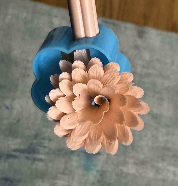 Objeto interesante que parece una flor, hecho con virutas de lápiz dentro de un sacapuntas azul.