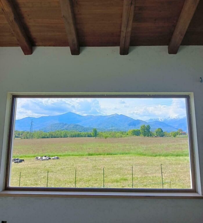 Ventana que enmarca un paisaje campestre con montañas, pasto y vacas, mostrando objetos interesantes que parecen otras cosas.