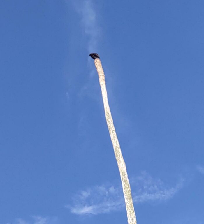 Objeto interesante en el cielo que parece una serpiente de humo alargada bajo un cielo azul claro claro.