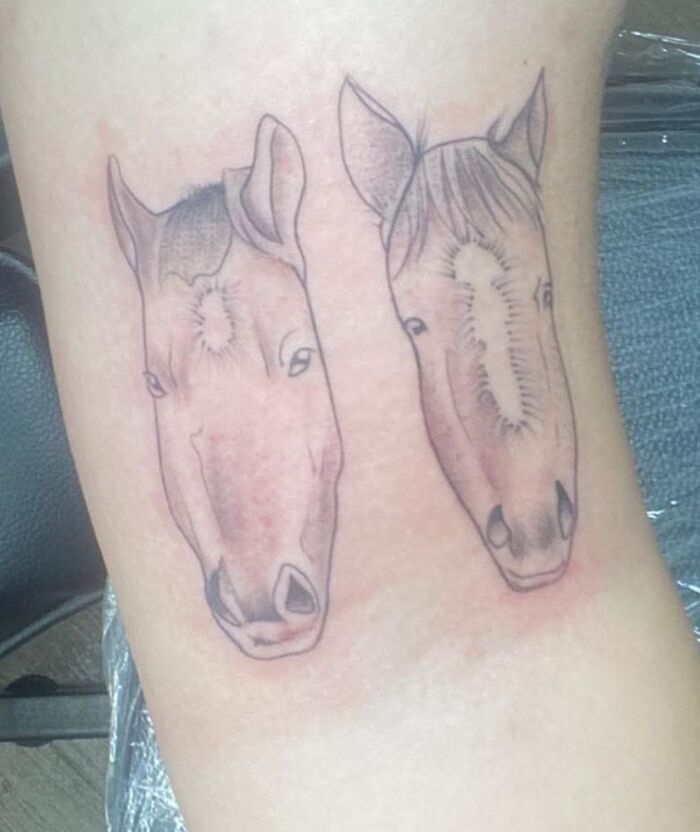 Tatuajes horribles de dos cabezas de caballo con líneas irregulares y sombreados imperfectos en la piel.