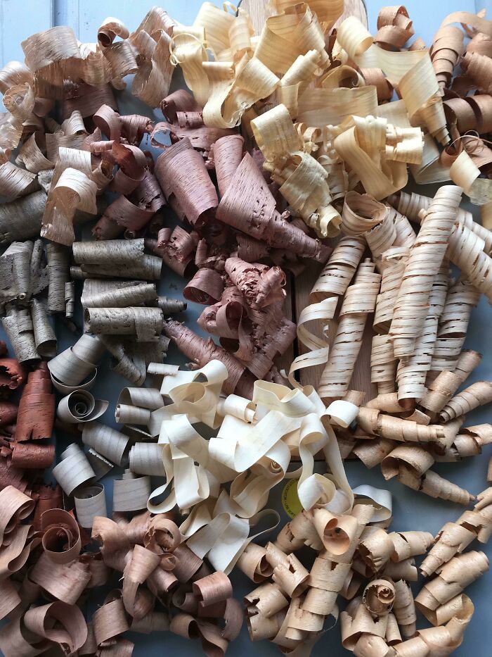 Virutas de madera en varios colores y texturas mostrando diversidad en imágenes comparativas del mundo.