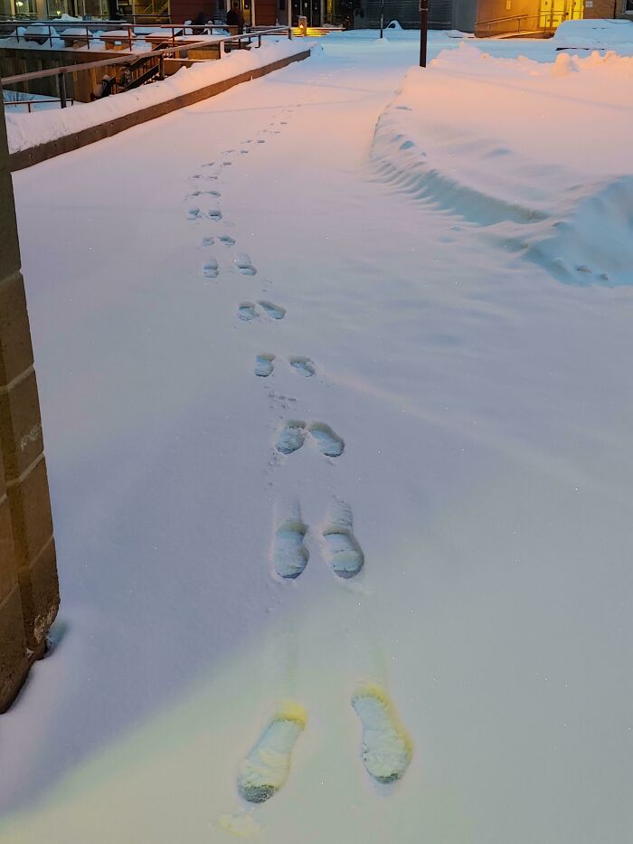 Huellas divertidas en la nieve formando pasos inusuales que invitan a reír y disfrutar del momento.