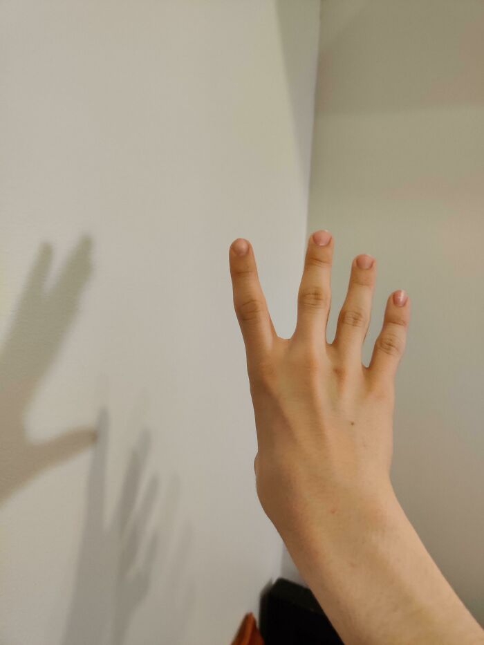 Mano extendida con cuatro dedos al frente proyectando una sombra en la pared, concepto de terribles mentirosos en internet.