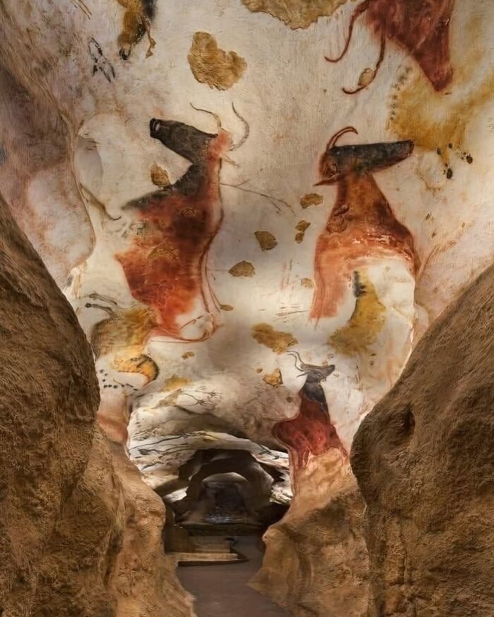 Pinturas rupestres en cueva prehistórica mostrando increíbles descubrimientos arqueológicos y arte antiguo en paredes rocosas.
