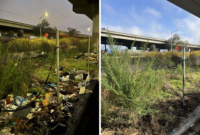 Transformación increíble de área bajo puente, mostrando antes con basura y después con vegetación limpia y renovada.