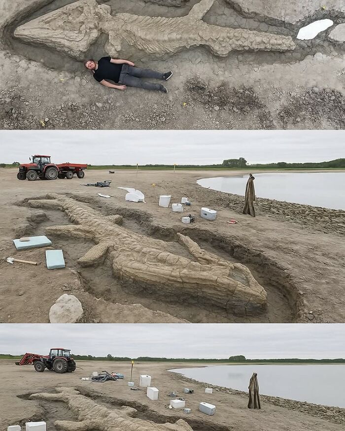 Hombre junto a un fósil gigante en excavación arqueológica, mostrando increíbles descubrimientos arqueológicos en sitio abierto.