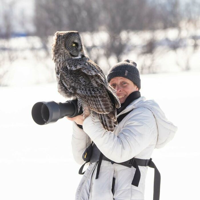 Fotógrafo de la naturaleza con cámara siendo emboscado de forma adorable por un búho en ambiente nevado.