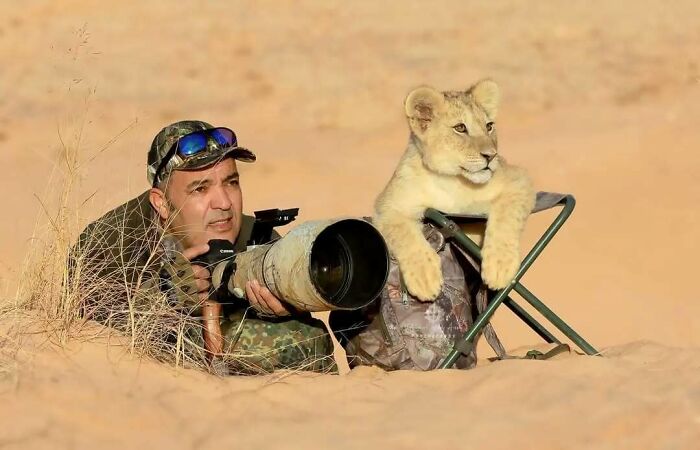 Fotógrafo de la naturaleza en el desierto acompañado de un cachorro de león mientras intenta capturar imágenes de fauna.