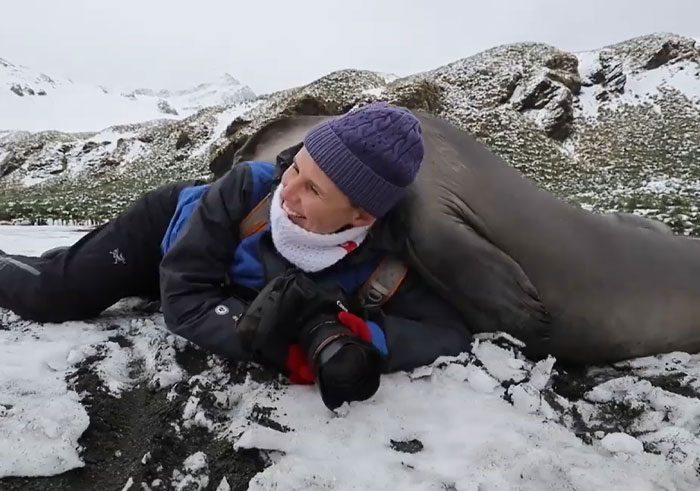 Fotógrafo de la naturaleza siendo emboscado de forma adorable por un animal marino en un paisaje nevado.