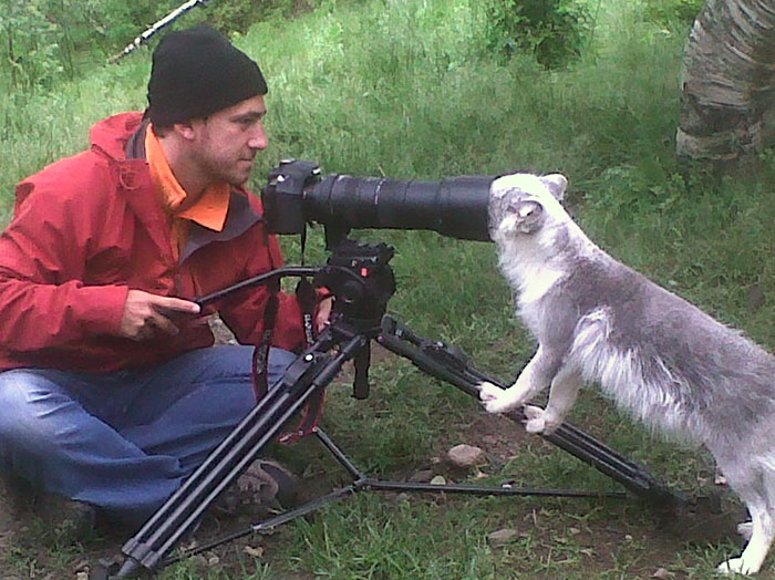 Fotógrafo de la naturaleza siendo emboscado por un perro curioso mientras intenta capturar imágenes con cámara profesional.