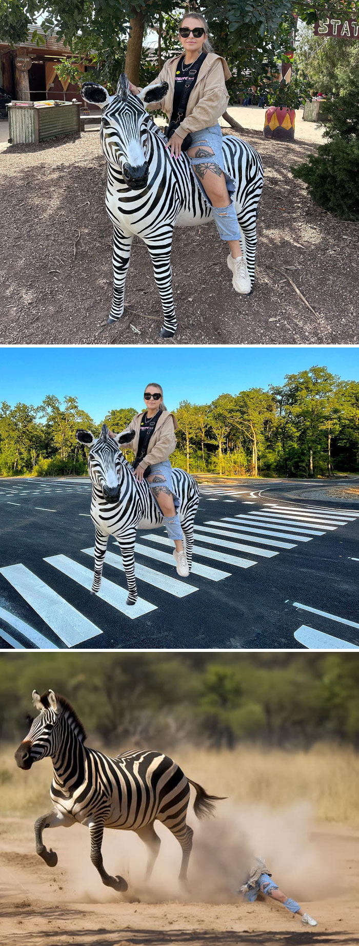 Mujer posando con cebra photoshopeada en lugares inesperados, con resultados divertidísimos y creativos.