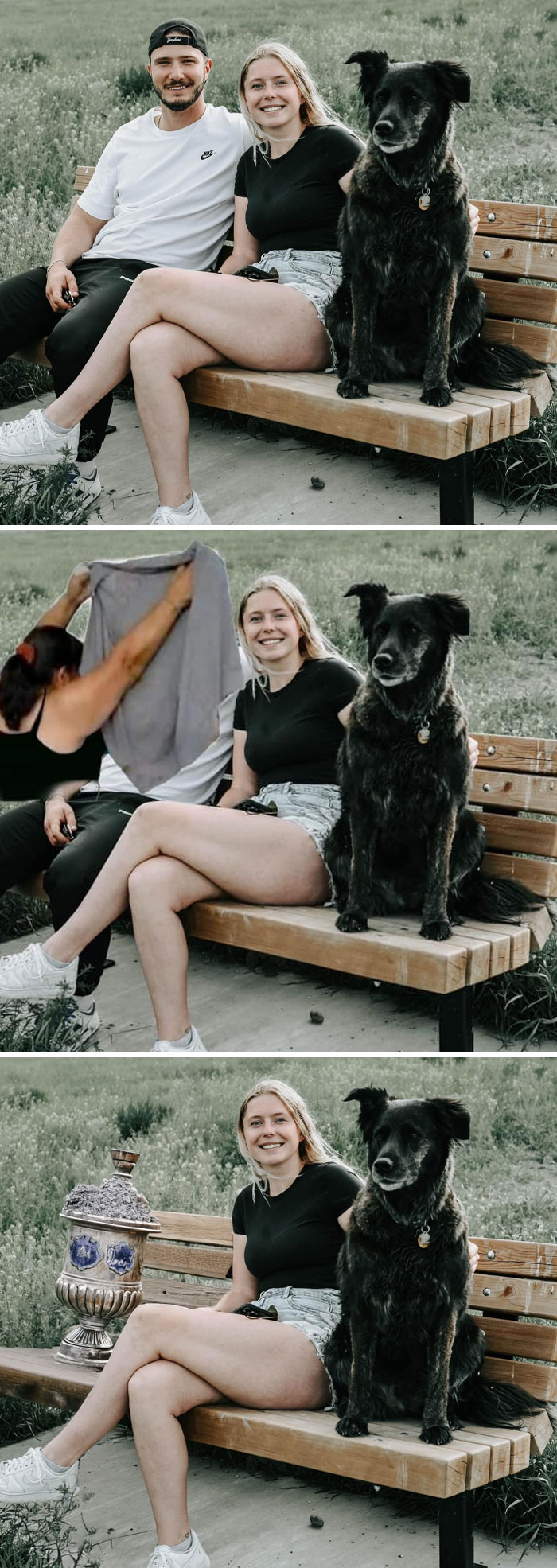 Pareja y perro en banco, editados en Photoshop con resultados divertidísimos y creativos en fotos de personas.