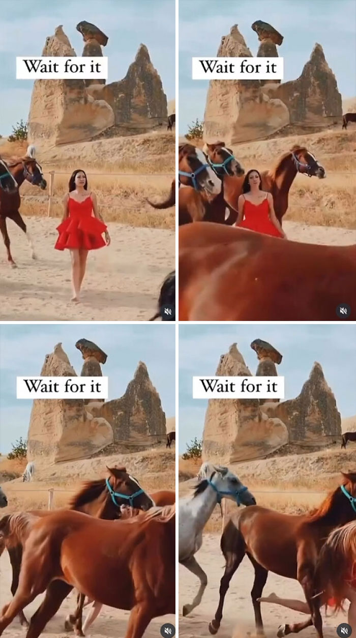 Influencer con vestido rojo rodeada de caballos en paisaje árido, mostrando momentos vergonzosos sin sentido común.