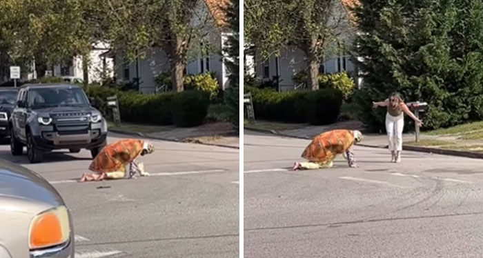 Perro disfrazado de taco arrastrándose en la calle, escena vergonzosa capturada por influencers dejando de lado sentido común.