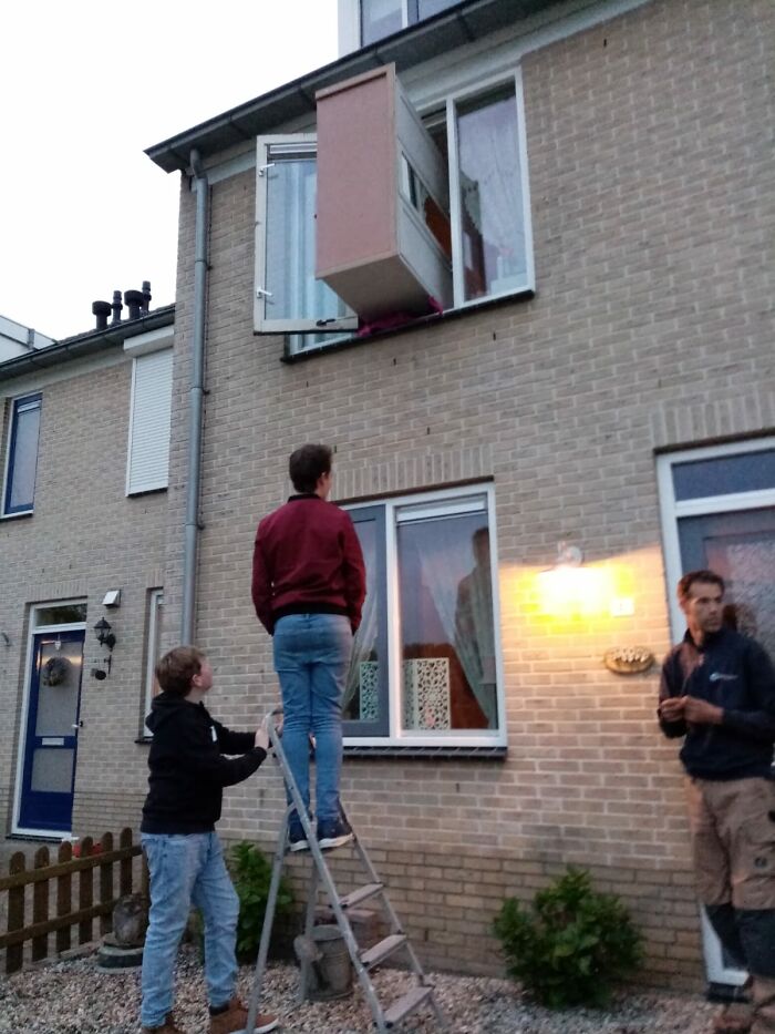 Hombres ayudando a subir un mueble por la ventana, ilustrando diferencias en longevidad entre mujeres y hombres.