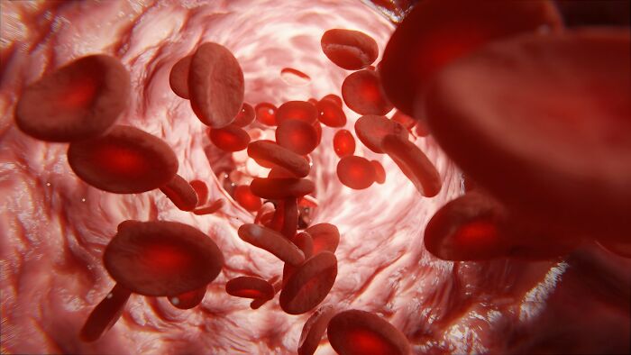 Células de sangre fluyendo en un vaso sanguíneo, ilustrando genes buenos o malos en circulación.