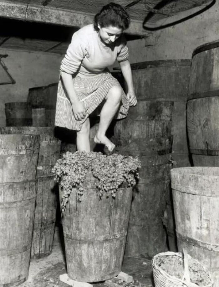 Mujer pisando uvas en barril viejo en bodega, mostrando un lado distinto de la Historia en fotos interesantes.
