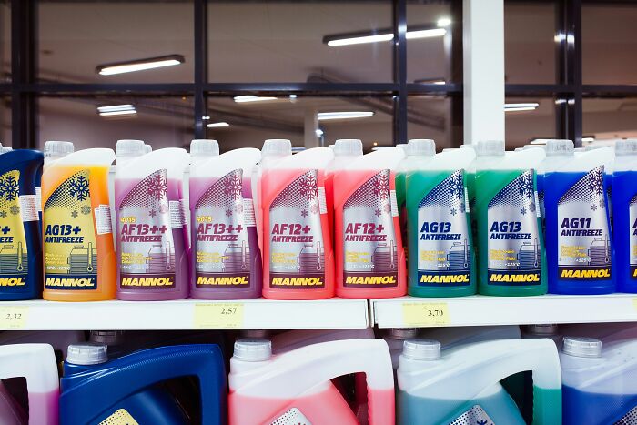 Estantes con botellas de anticongelante en tienda, imágenes relacionadas con expertos en autopsias descubriendo hechos inquietantes.