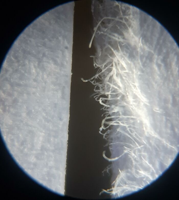 Fibra textil vista al microscopio mostrando detalles en imagen comparativa para una nueva perspectiva del mundo.