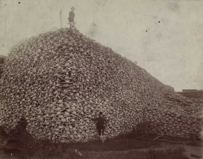 Montón gigante de cráneos apilados con personas a su alrededor en una foto del pasado inquietante y rara.