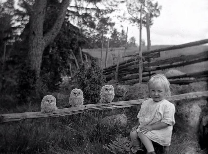 Niña pequeña sentada en el campo junto a tres búhos, foto histórica curiosa del pasado inédito en blanco y negro.