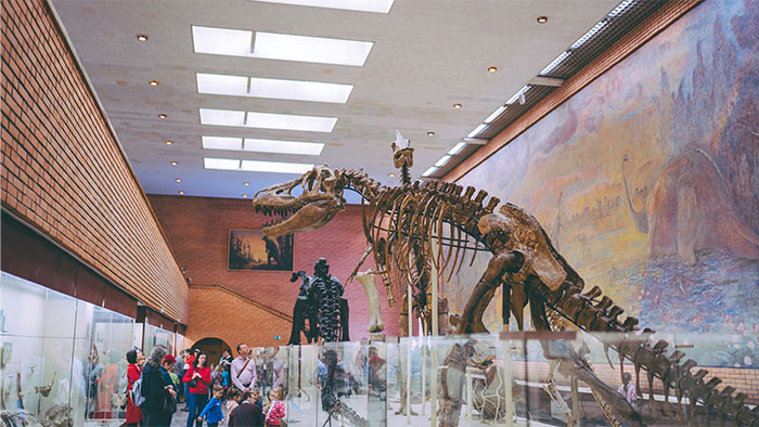 Esqueleto de dinosaurio en museo con visita de mujeres mostrando momentos de pérdida de atracción por pareja.