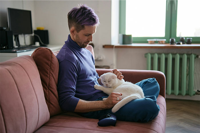 Hombre con cabello morado sentado en sofá acariciando un gato blanco, momento de pérdida de atracción en pareja.