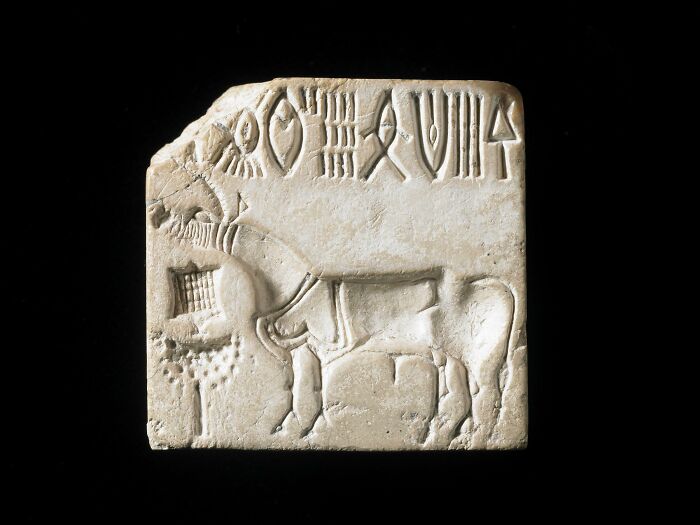 Bajorrelieve antiguo con símbolos y figura de animal, representando misterios interesantes que aún desconciertan a la gente.