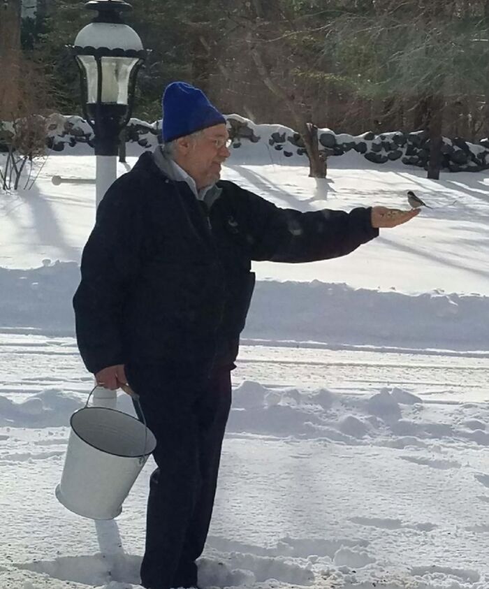 Hombre mayor alimentando a un pájaro en la mano en un paisaje nevado, imagen reconfortante para distraerse.