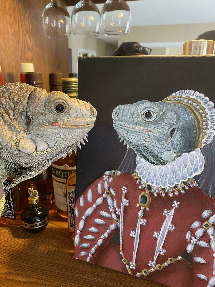 Iguana frente a pintura humorística de iguana vestida con ropa antigua, foto divertida y absurda de animales.