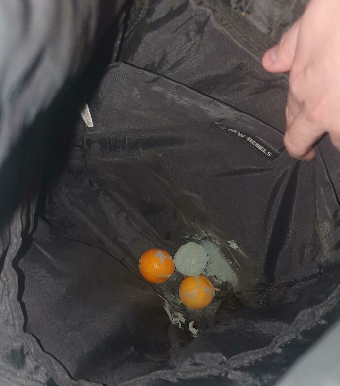 Interior de mochila con fruta olvidada y moho, ejemplo de personas que olvidaron algo importante y documentaron consecuencias.
