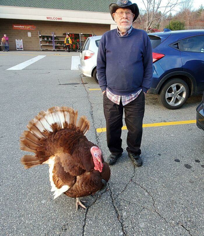 Hombre mayor junto a un pavo en un estacionamiento mostrando actitud de personas a las que todo les da igual