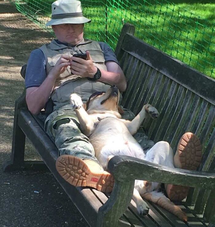 Hombre sentado en banco con perro recostado sin preocupaciones mostrando actitud de personas a las que todo les da igual.