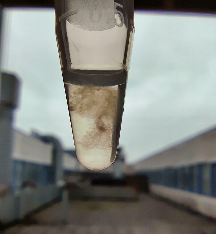 Imagen de muestra médica en tubo de ensayo que revela aspecto inquietante del cuerpo humano en un entorno clínico.