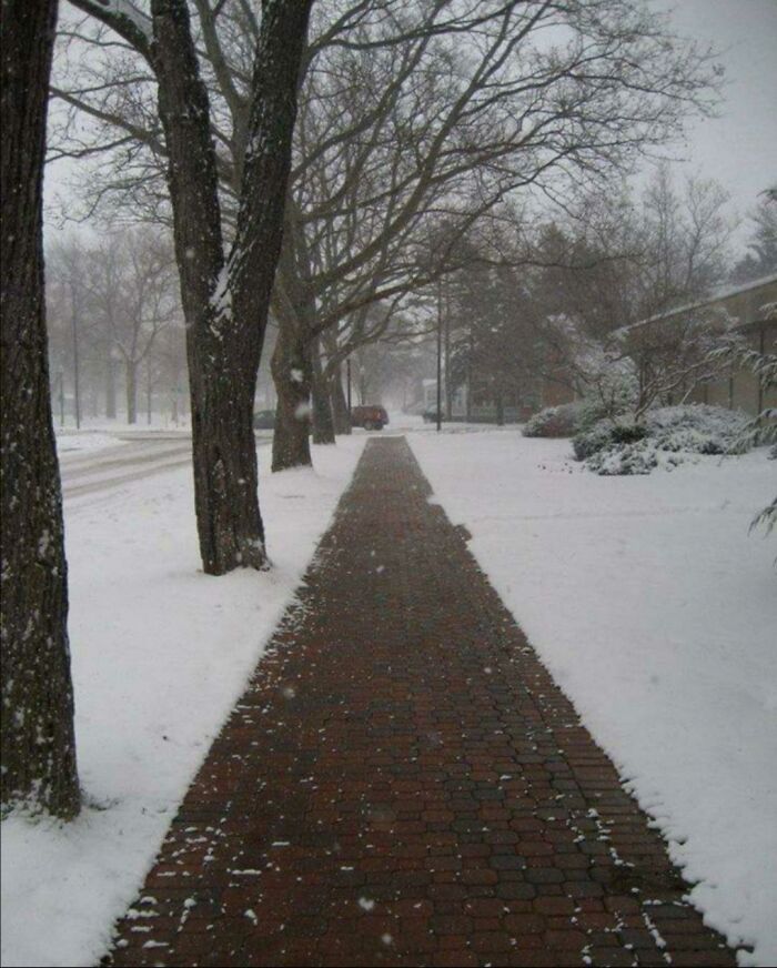 Camino despejado de nieve en invierno, mostrando detalles ingeniosos para facilitar la vida cotidiana en países con frío.