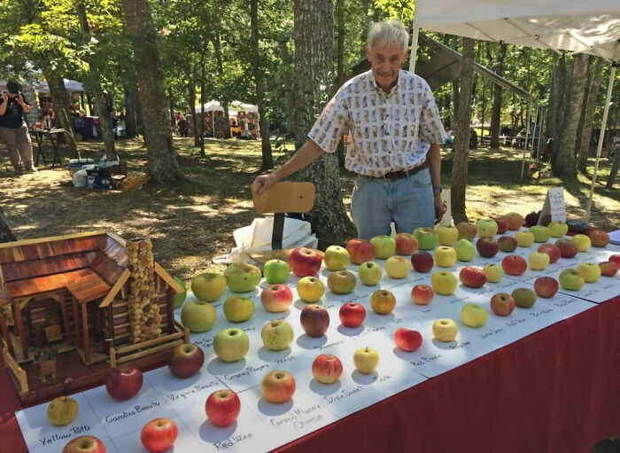 Hombre mayor mostrando variedades de manzanas en exhibición al aire libre en evento de cosas interesantes para compartir.