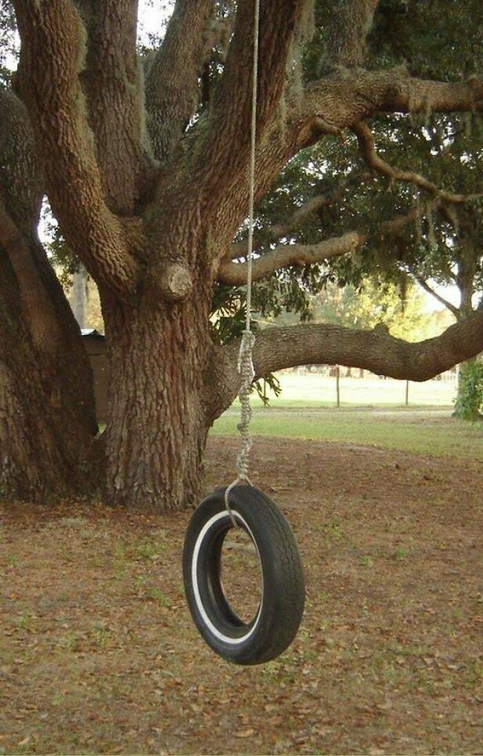 Columpio hecho con neumático colgando de un árbol, foto de cosas que ya no existen y evocan nostalgia.