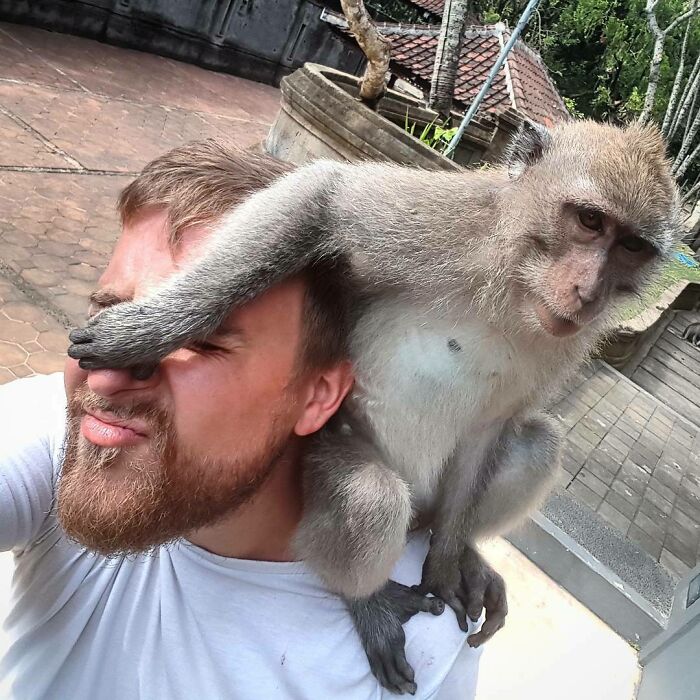 Fotógrafo de la naturaleza con mono sentándose en su hombro mientras el animal toca su cara de forma divertida.
