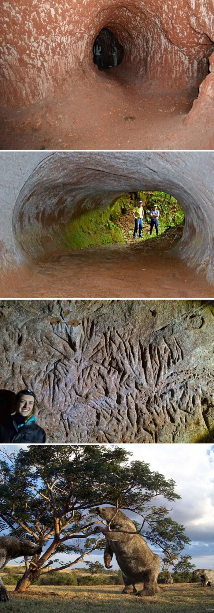 Cueva prehistórica con arte rupestre y recreación de animales antiguos, datos fascinantes de la historia natural.