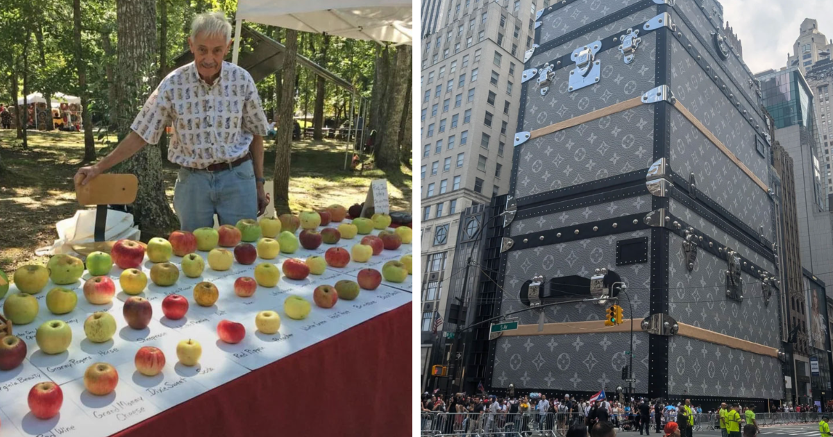 Hombre mostrando variedad de manzanas raras y gran maleta gigante en ciudad, cosas interesantes para compartir.