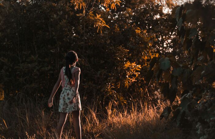 Niña caminando en un bosque al atardecer, evocando emociones relacionadas con cosas desquiciadas y horribles sobre sus familias.