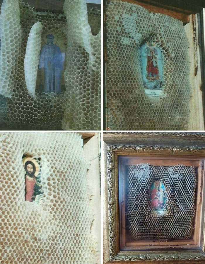 Paneles de panal de abejas cubriendo imágenes religiosas, un misterio interesante que aún desconcierta a la gente.