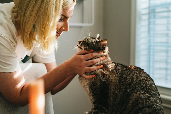 Mujer acariciando a un gato en casa, reflejando dilemas morales y secretos que empresas ocultan a clientes.